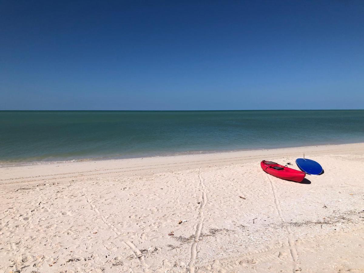 Playa 55 Beach Escape - Adults Only Guesthouse Celestun Εξωτερικό φωτογραφία